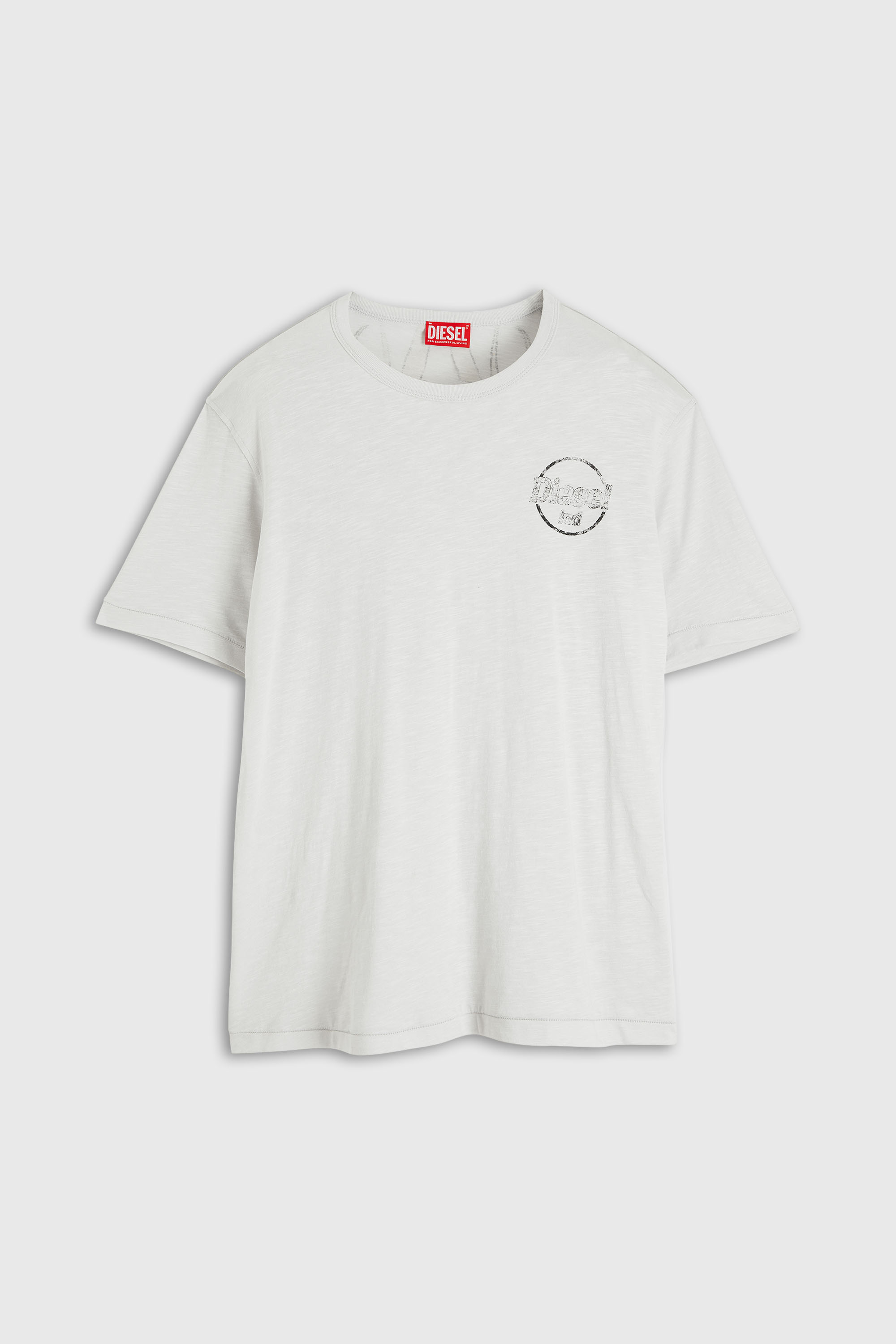 Diesel - T-ADJUST-B11, Man's T-shirt in slub jersey with crack print in null - 4