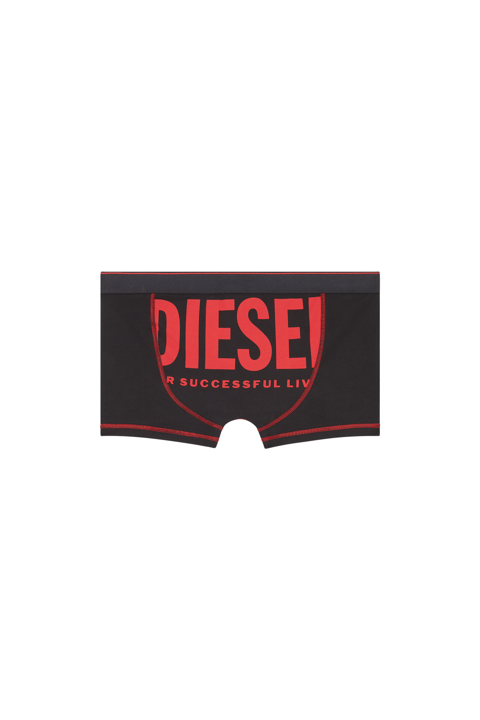 Diesel - UMBX-DAMIEN-H, Man Boxer briefs with maxi back print in Multicolor - Image 2