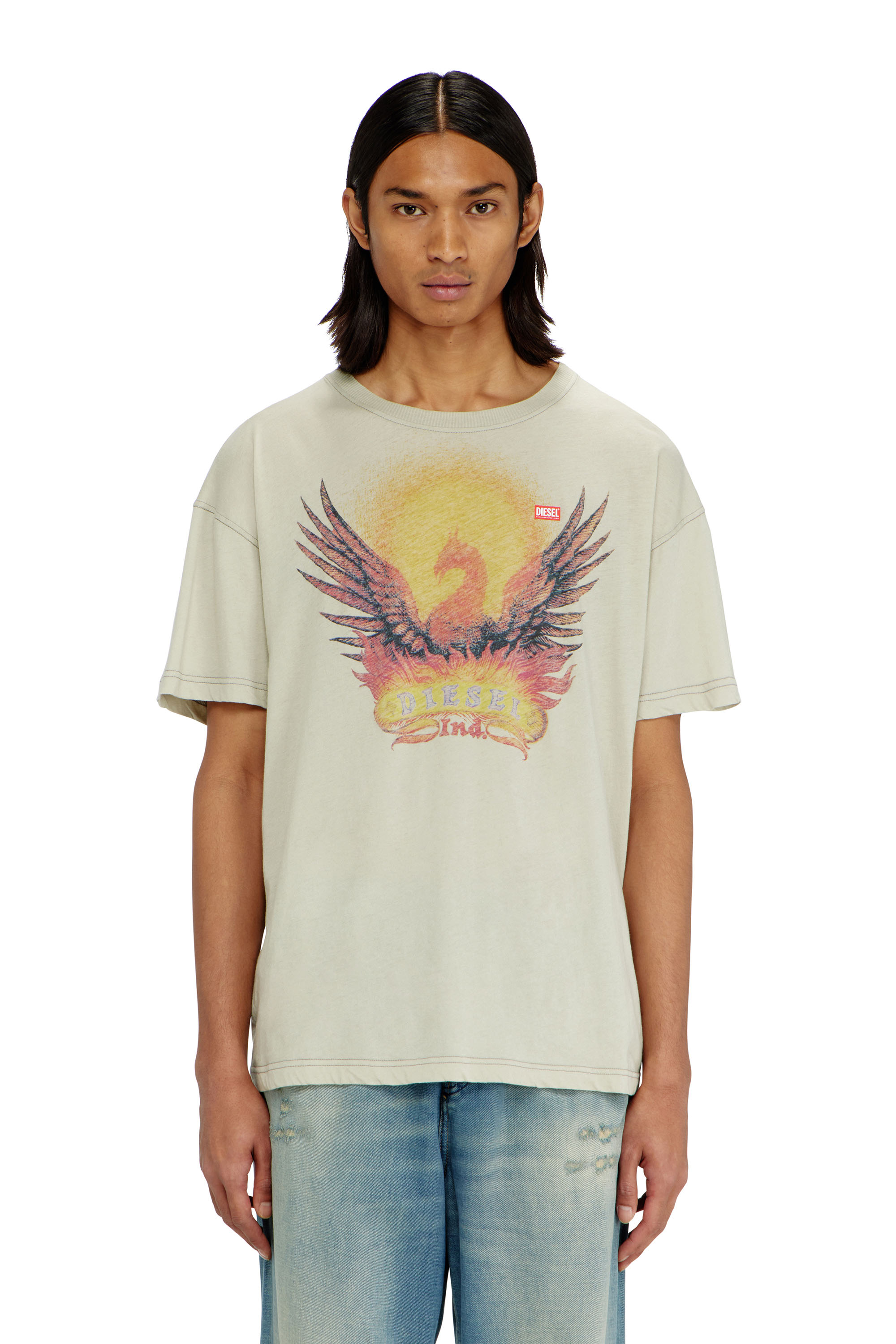 Diesel - T-NORM-AA1, Man's Regular T-shirt with Phoenix print in null - 3